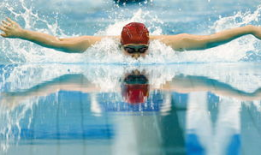 蝶泳视频,跟随视频学蝶泳